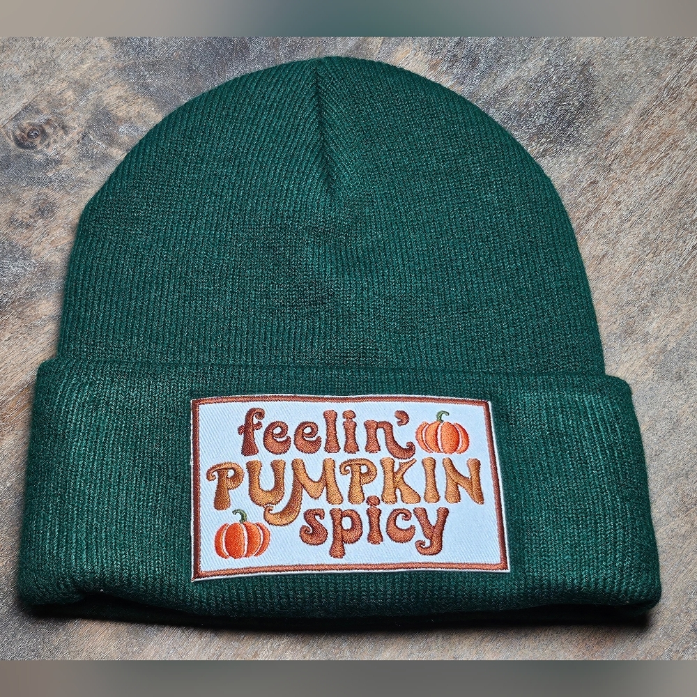 NWT Green Soft Knit Beanie With Embroidered Patch